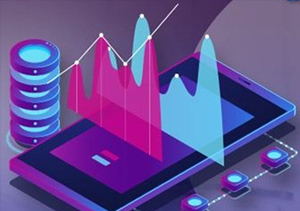 fema compliance in chennai